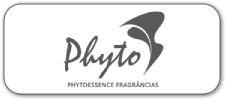 Logo Plyto